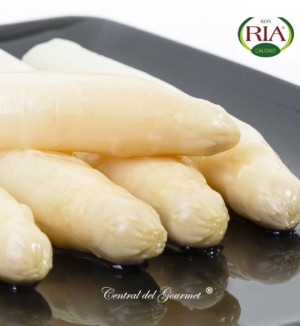 White asparagus Extra source Spain Conservas Angel Ria