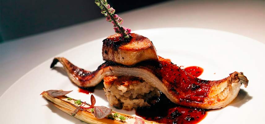 Recetas con paté y foie gras gourmet