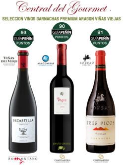 Selección Vinos Garnachas Premium Aragón