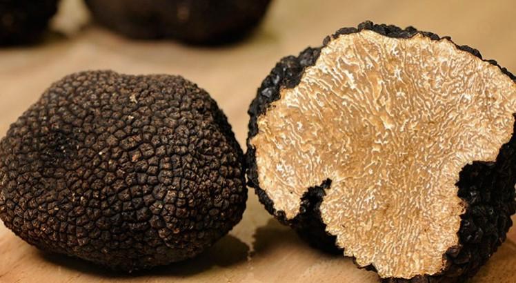 All you need to know about truffles not to go back to throwing your money away