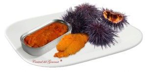 Preserves Areoso soil exquisite Caviar urchin gourmet sea to the natural rias Gallegas, tin 50ml