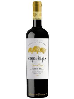Coto de Hayas Viñas del Cierzo, red wine reserva D. O. Campo de Borja, bottle 75cl