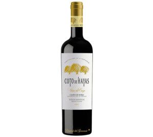 Coto de Hayas Viñas del Cierzo, tinto reserva D.O. Campo Borja, botella 75cl