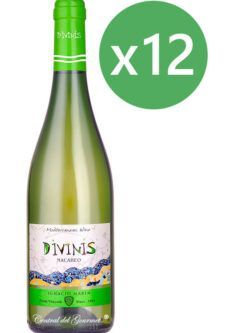 Divinis White wine Macabeo 2016 Box