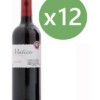 Matices de Coto de Hayas, Wine-Grenache 100 % D. O. Campo Borja Case 12 bottles 75 cl