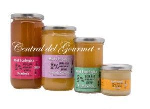 Organic Honey Raw Gourmet Verdemiel Pack Degustacion 2