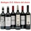 Wines Selection D. O Ribera del Duero