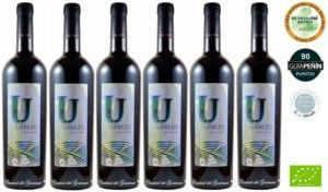 Organic wine Gourmet Urbezo Garnacha 2016 box